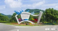 2020年元旦放假安排到底是怎样的你是否期待