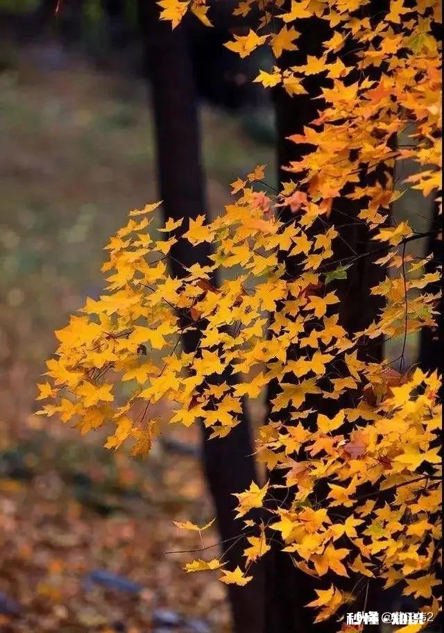 2020年元旦放假安排到底是怎样的你是否期待