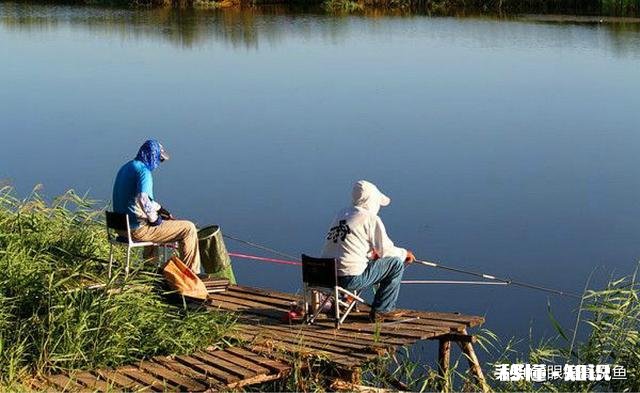 在钓鱼中你最不能接受哪种钓友