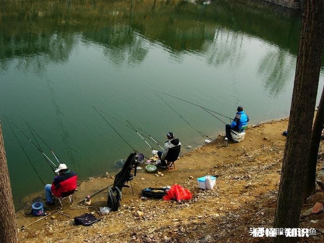 在钓鱼中你最不能接受哪种钓友