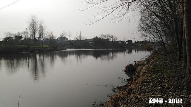 在钓鱼中你最不能接受哪种钓友