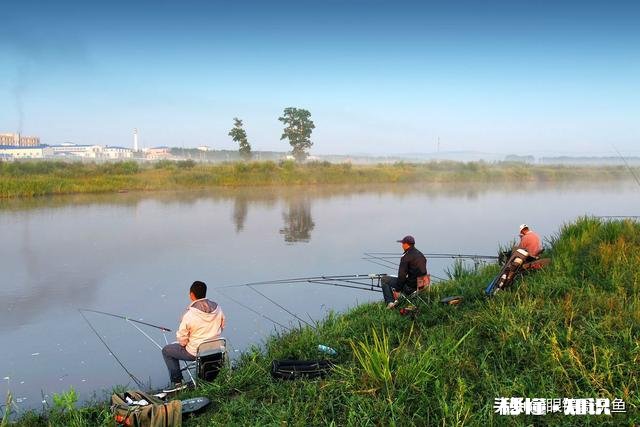 在钓鱼中你最不能接受哪种钓友