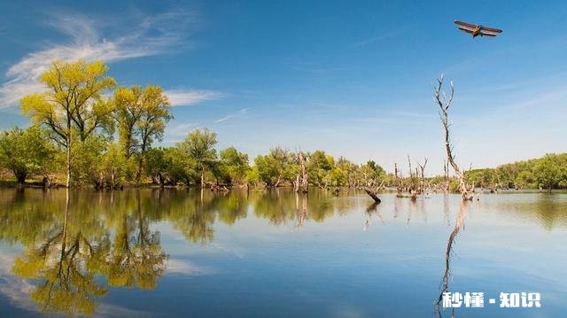 在钓鱼中你最不能接受哪种钓友