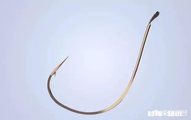 怎么选择鱼钩，有哪些经验分享吗
