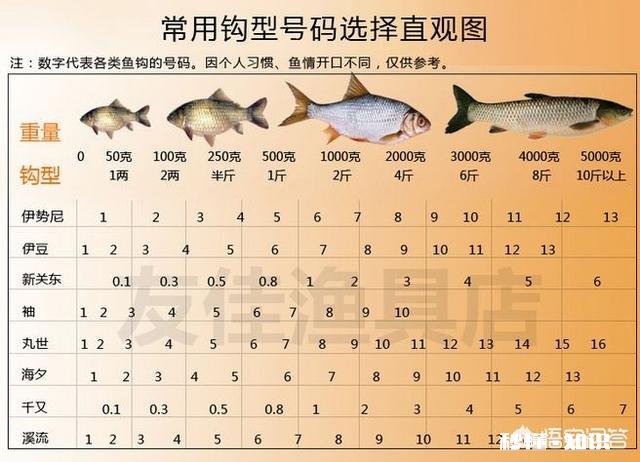 怎么选择鱼钩，有哪些经验分享吗