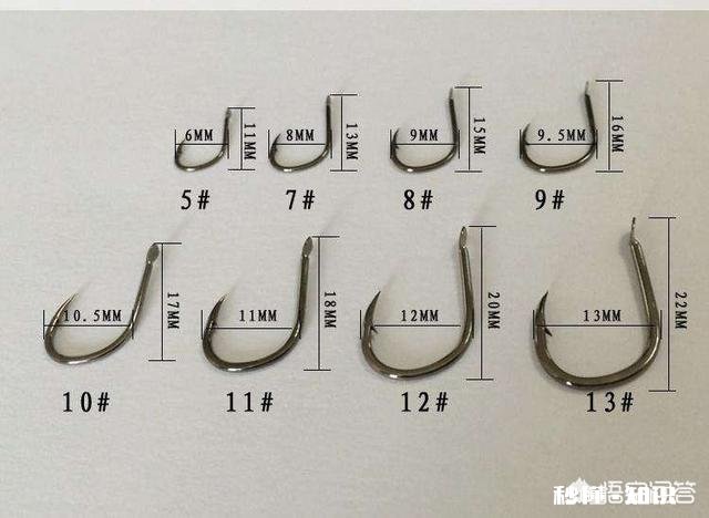 怎么选择鱼钩，有哪些经验分享吗