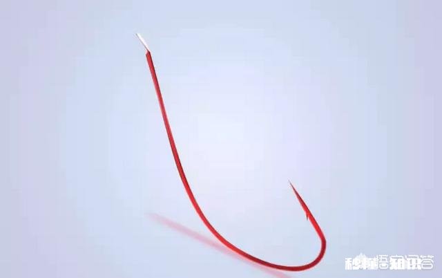 怎么选择鱼钩，有哪些经验分享吗