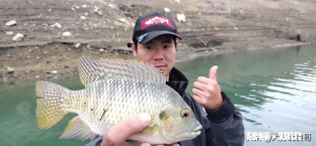 万能头条圈，请问小白买什么鱼竿比较好，我新手都不知道路亚是啥