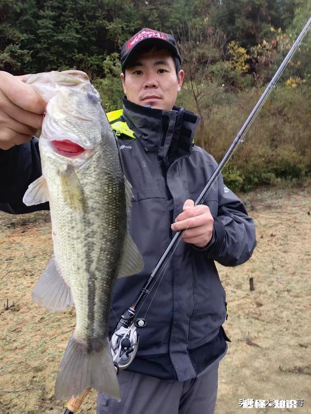 万能头条圈，请问小白买什么鱼竿比较好，我新手都不知道路亚是啥
