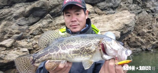 万能头条圈，请问小白买什么鱼竿比较好，我新手都不知道路亚是啥