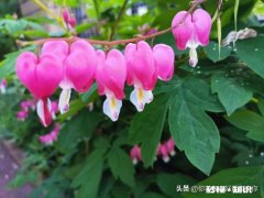 如果给你机会，你会不会和某人重新来过