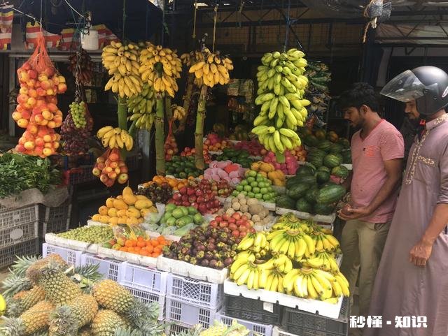 如果我要去你的城市自助一日游或者两日游，有哪些东西我是必须去看的