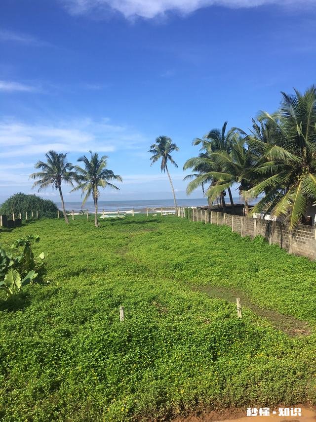 如果我要去你的城市自助一日游或者两日游，有哪些东西我是必须去看的