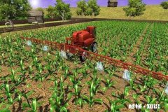 现在农村种地都是70后，80、90宁可打工也不种地以后咋办