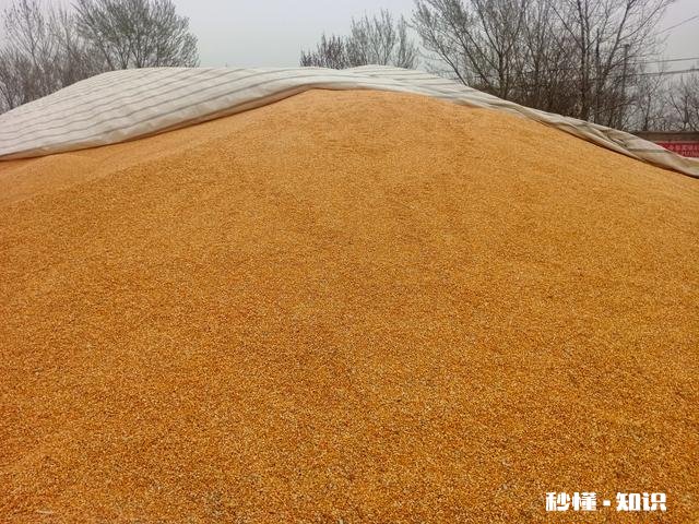 现在农村种地都是70后，80、90宁可打工也不种地以后咋办