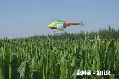 现在农村种地都是70后，80、90宁可打工也不种地以后咋办