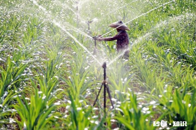 现在农村种地都是70后，80、90宁可打工也不种地以后咋办