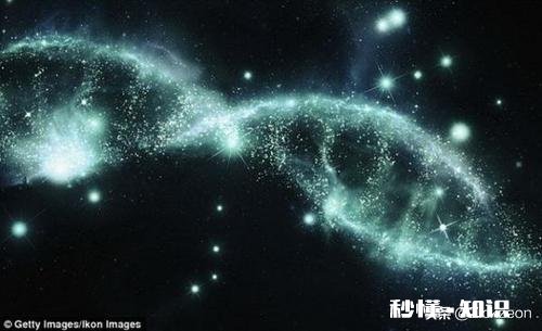 从生物学上来看，人类有哪些设定不适合永生