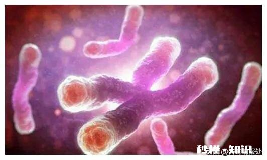 从生物学上来看，人类有哪些设定不适合永生