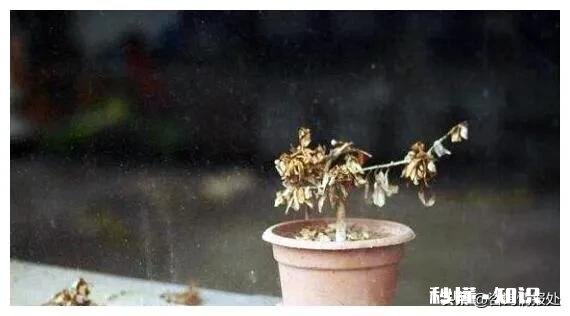 从生物学上来看，人类有哪些设定不适合永生