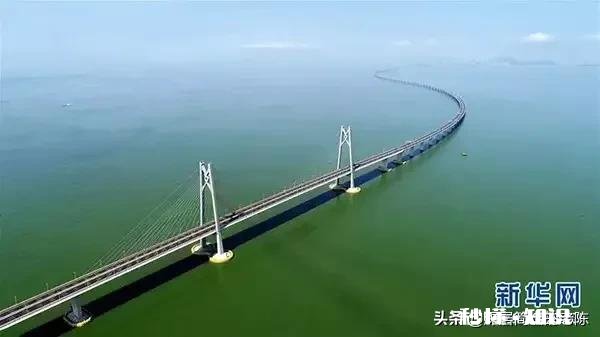 到底做什么行业可以养家糊口