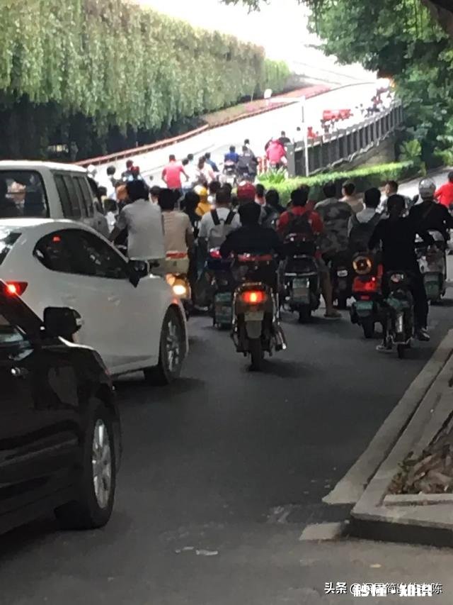 到底做什么行业可以养家糊口