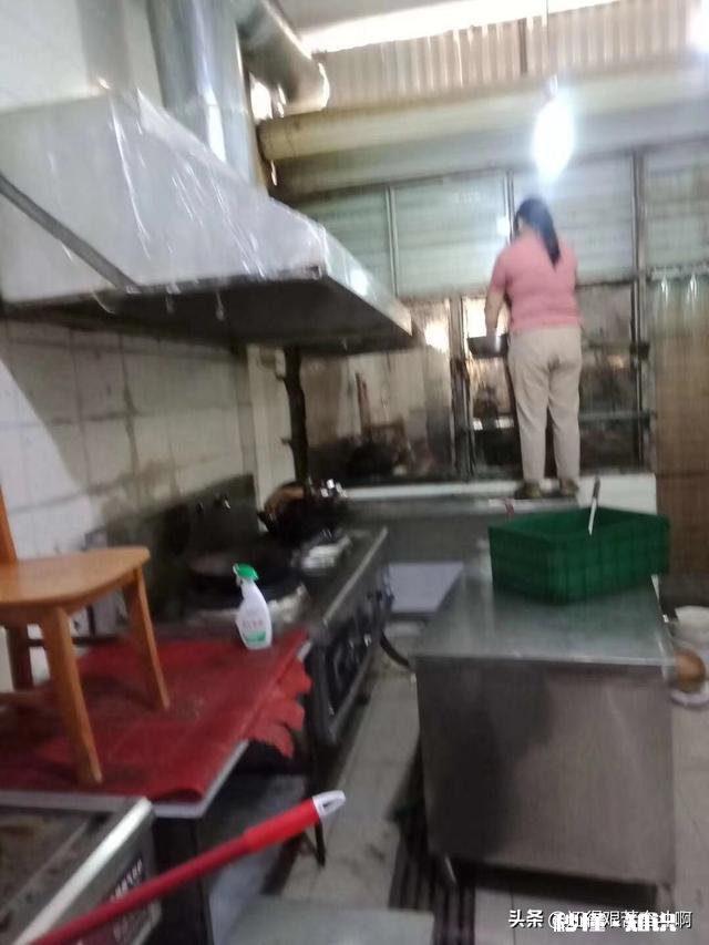 到底做什么行业可以养家糊口