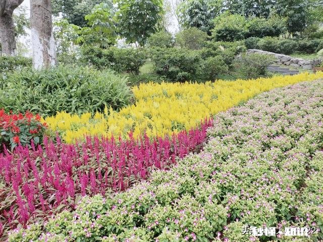 伤害一个人太深,我还能有复合的机会吗