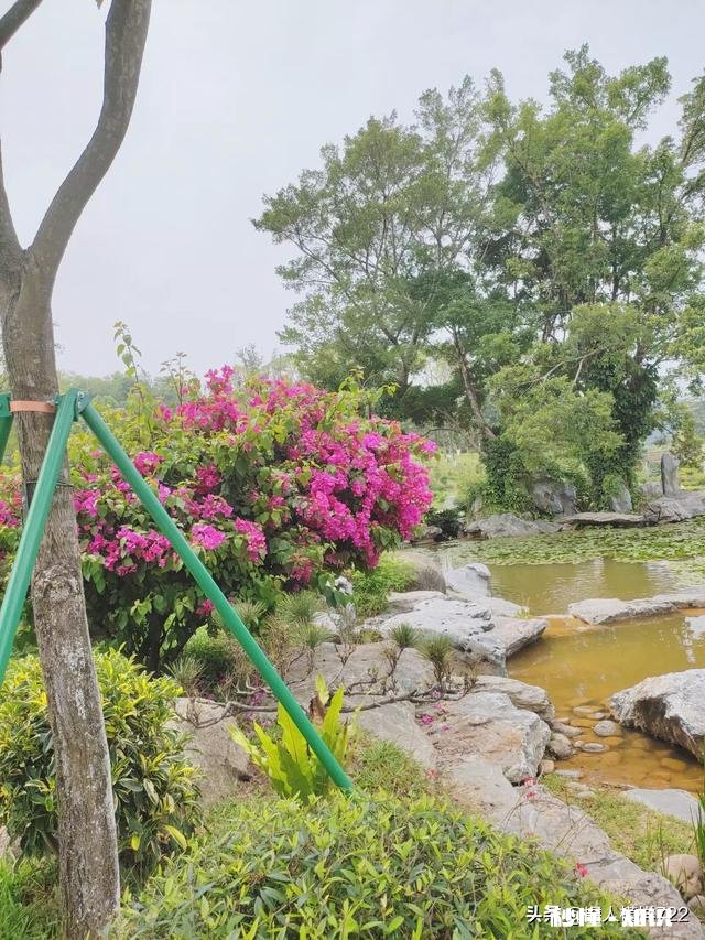 伤害一个人太深,我还能有复合的机会吗