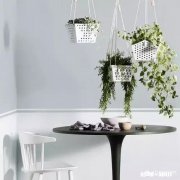 假如给你三选一，在知识，能力，金钱中，你会选择哪一个