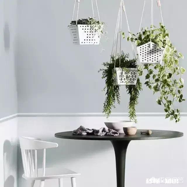 假如给你三选一，在知识，能力，金钱中，你会选择哪一个