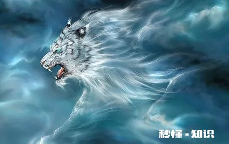 本命年应该注意点什么呢