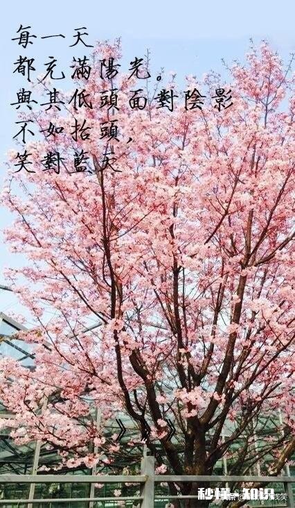 每次吵架老公都说各种难听的话。事后又跟没事人一样,该原谅吗