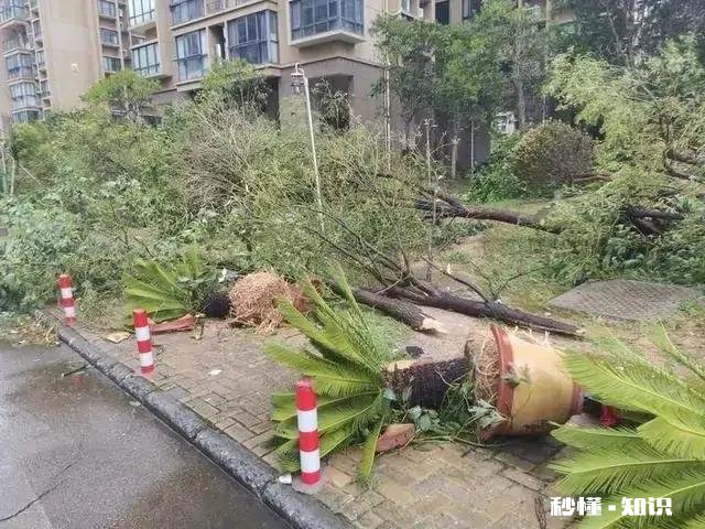 杭州碎尸案和台州玉环女士坠楼事件中的死亡者都是女性，是凑巧吗