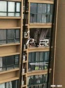 杭州碎尸案和台州玉环女士坠楼事件中的死亡者都是女性，是凑巧吗