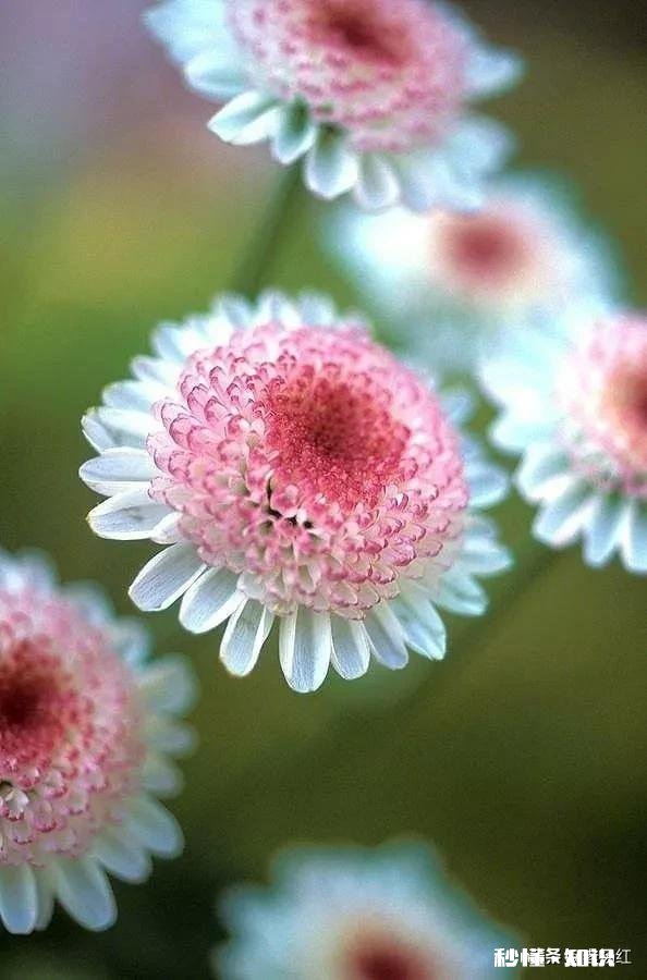 跟男朋友在一起之后，很容易生气，变得很暴躁易怒怎么办