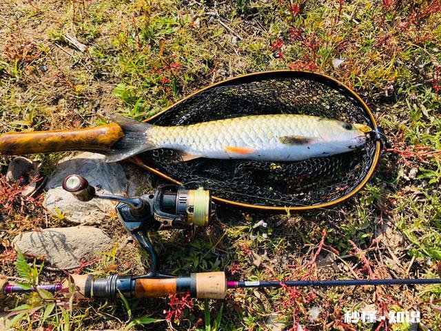 为什么有人不用探鱼器钓鱼