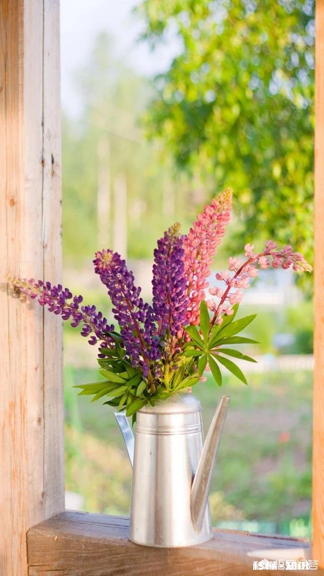 现在你的老家每年大年初一还到处磕头吗磕头这个习俗，你认为好还是坏