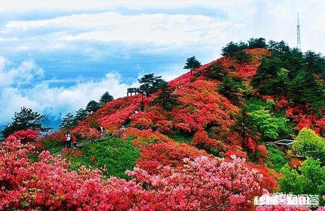 现在你的老家每年大年初一还到处磕头吗磕头这个习俗，你认为好还是坏