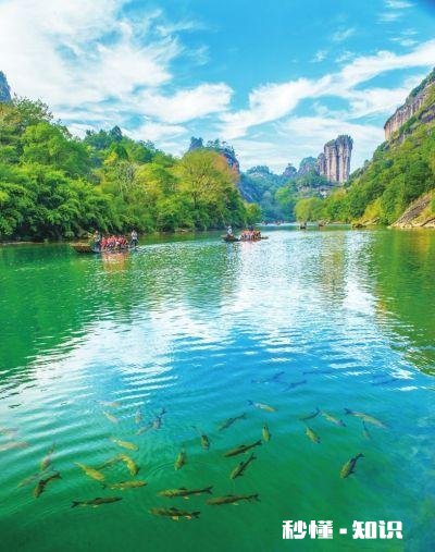 岩开伊水清是什么意思如何理解