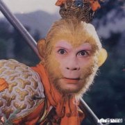 为什么社会上会有那么多的剩女