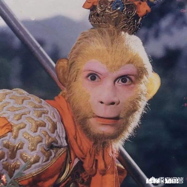 为什么社会上会有那么多的剩女