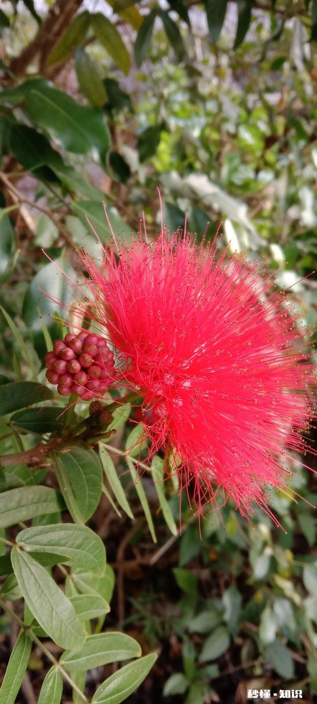 你身边有没有明星脸的朋友或有人说你长得像哪位明星是什么感受