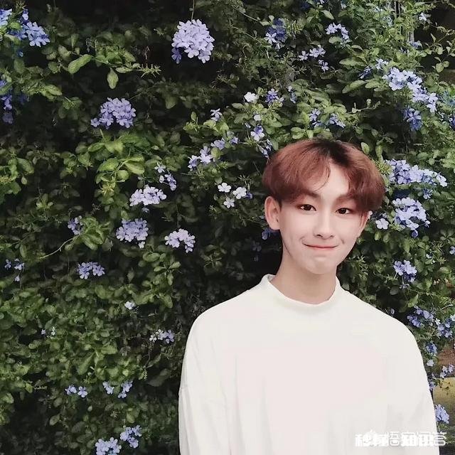 你身边有没有明星脸的朋友或有人说你长得像哪位明星是什么感受