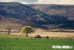 西藏，新疆，云南哪个更适合自驾游呢