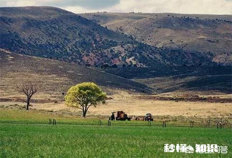 西藏，新疆，云南哪个更适合自驾游呢