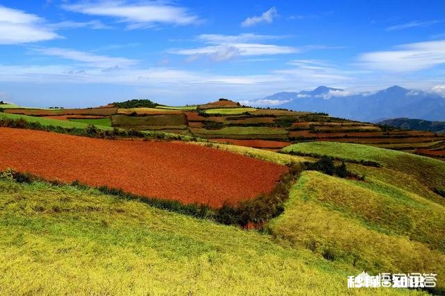 西藏，新疆，云南哪个更适合自驾游呢