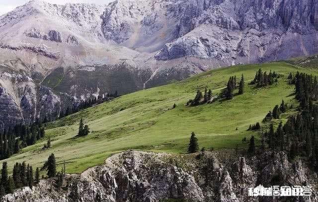 西藏，新疆，云南哪个更适合自驾游呢