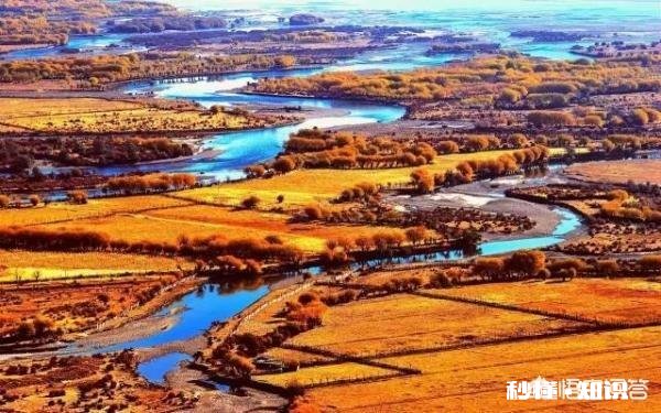 西藏，新疆，云南哪个更适合自驾游呢