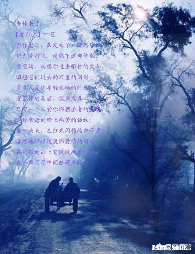 在一个40岁人的心里到底什么最重要求解